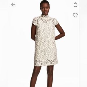 Cream Lace Dress